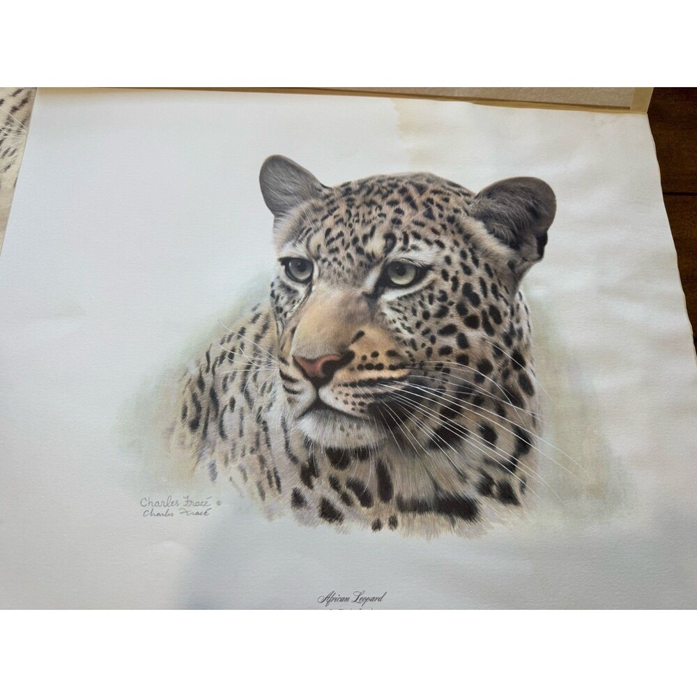 Charles Frace Limited Edition Signed Print "African Leopard" (Head)